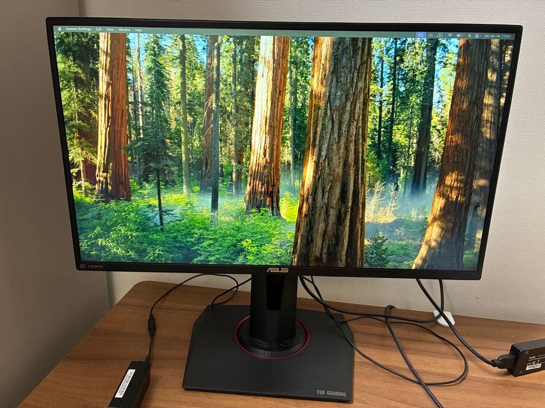 ASUS VG259 モニター 本体