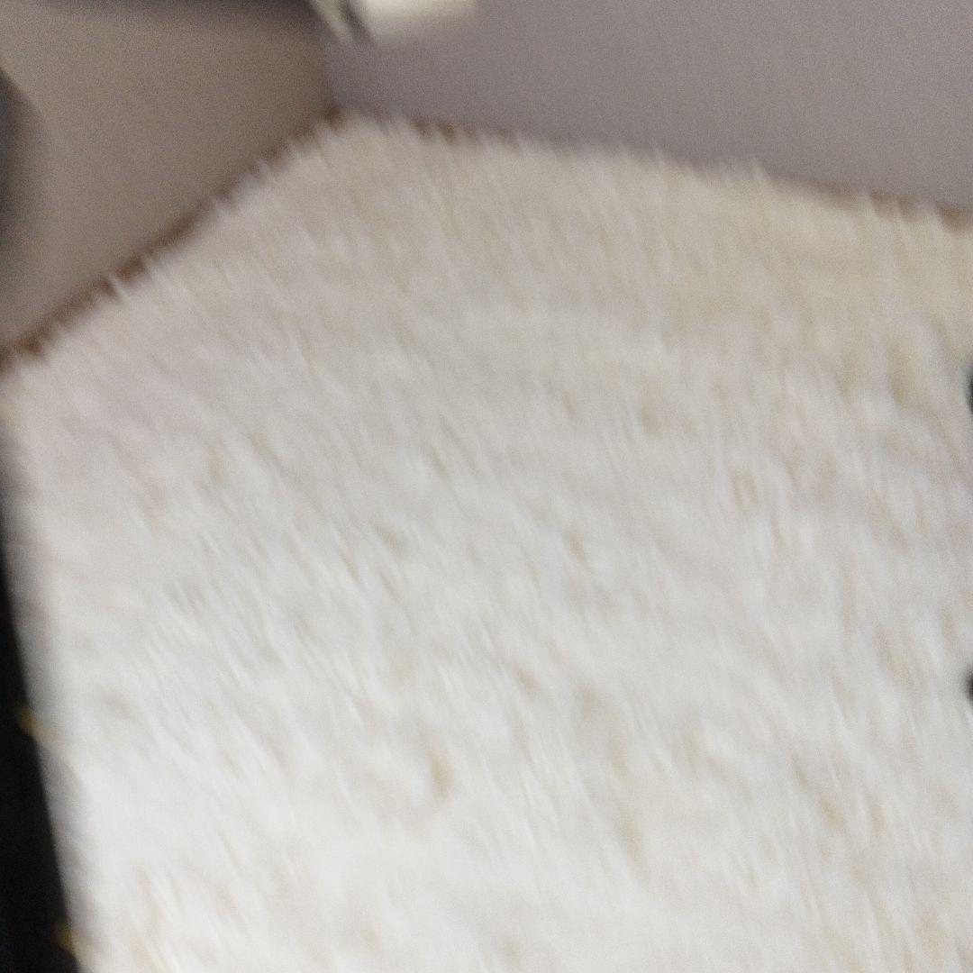 沖縄三線 蛇皮 本皮 強化張り 真壁型 ハードケース 鍵付 黒塗り