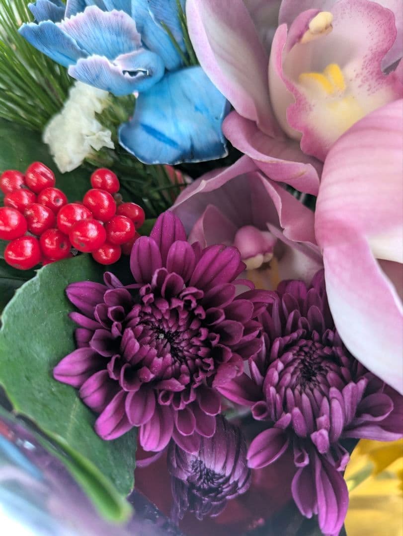 ❀さくらもち様❀