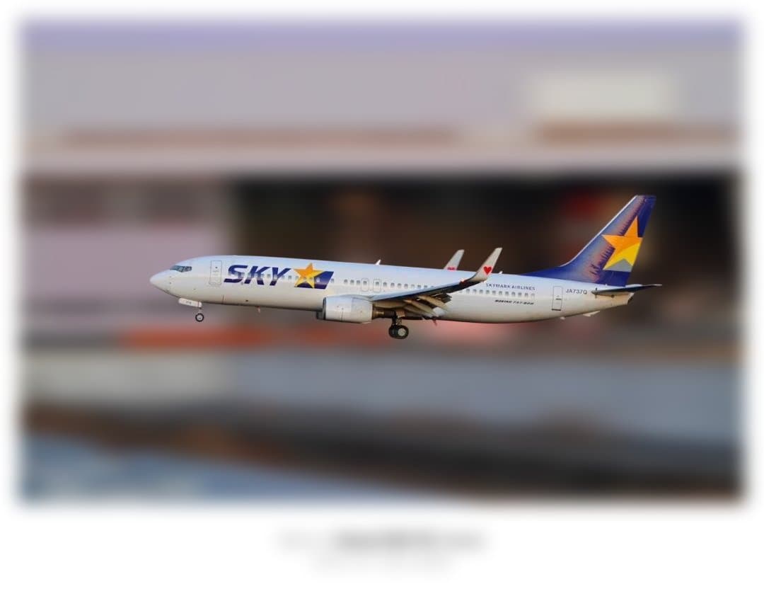 TAMRON AF 28-300mm f/3.5-6.3 VC　フード汚れあり