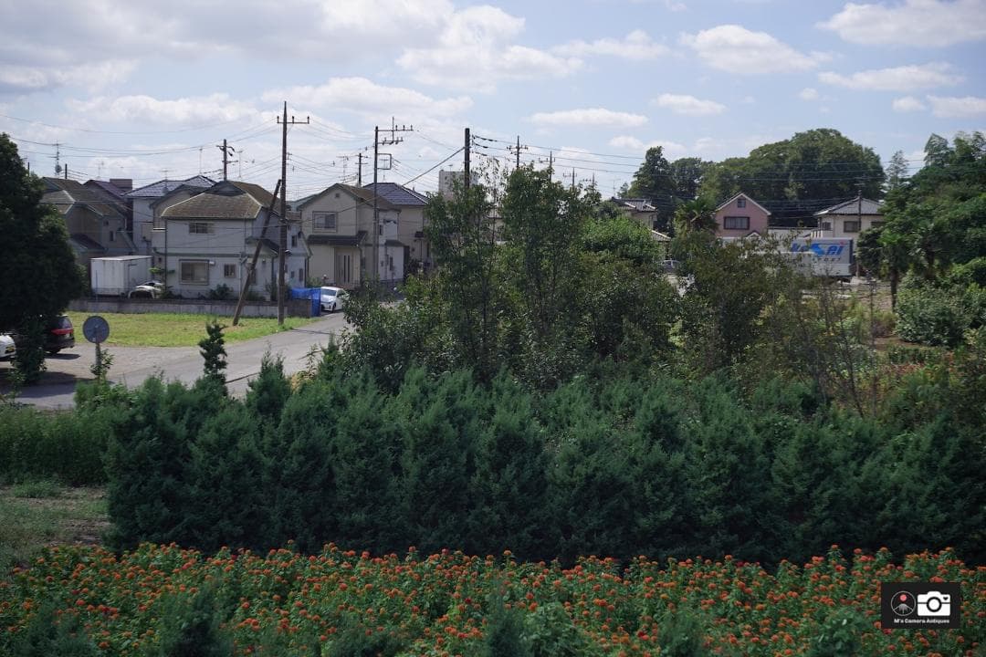 希少Tokyo Opt Simlar 5cm F/3.5 Ｌ３９レンズ整備済