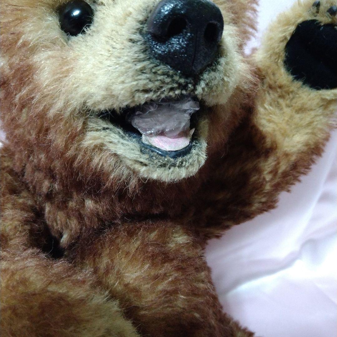 テディベア　作家　アーティスト カリン・デ・ロレンツォ