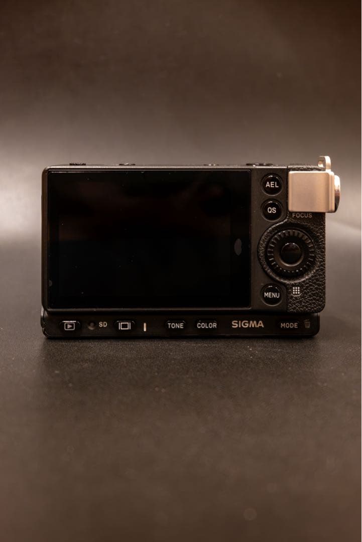 SIGMA fp おまけ、アクセサリ多数付き　美品