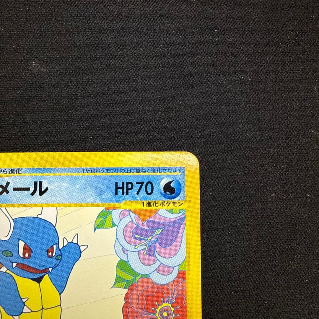 【引退品】カメール PROMO T トレーナーズマガジンプロモカード 012/T