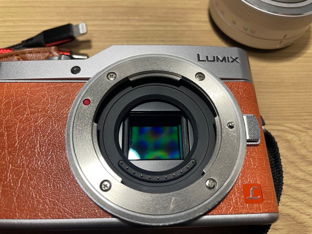 Panasonic DC-GF9W ミラーレスカメラ 4K動画