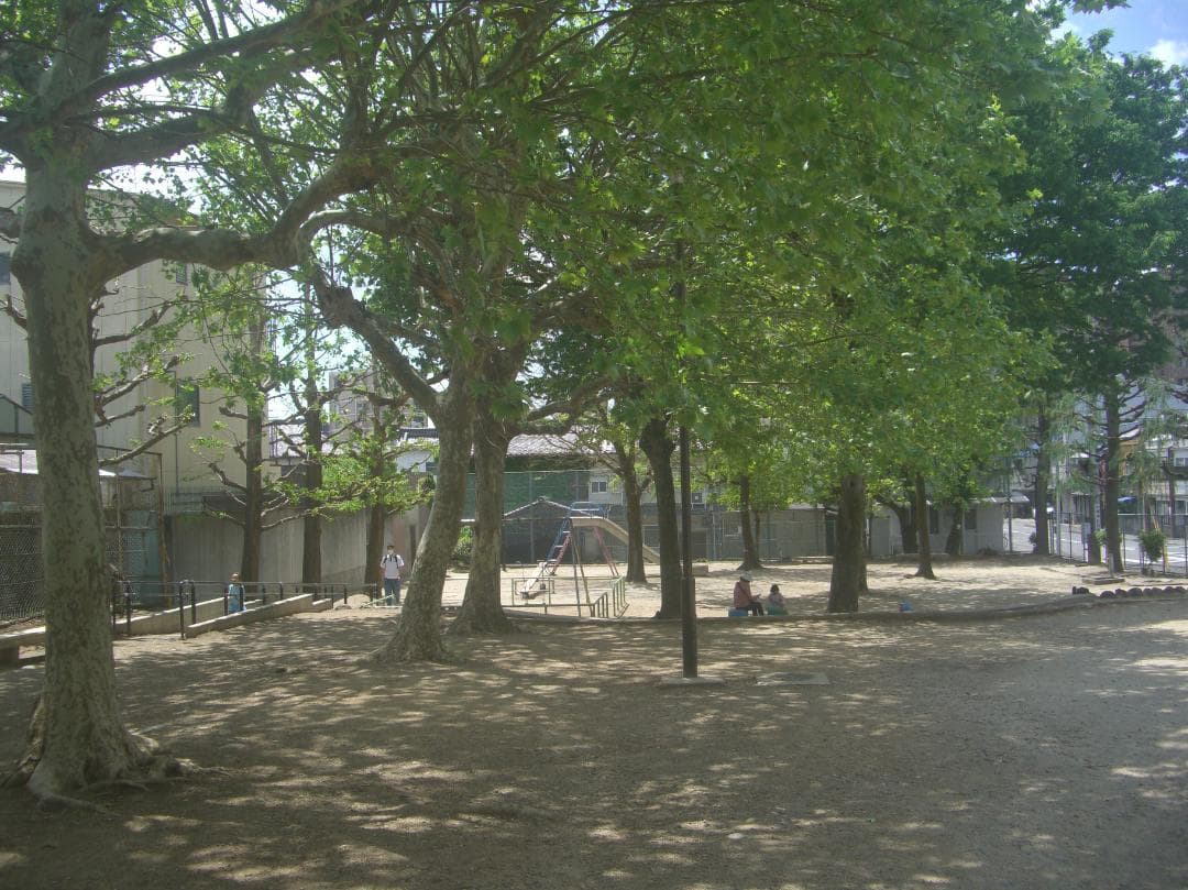 デジタルカメラ CASIO EXILIM EX-Z1000