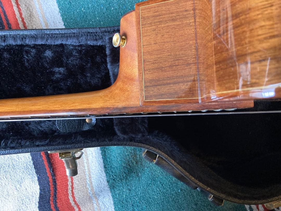 baden ギター　A style ベーデン　ハードケース付