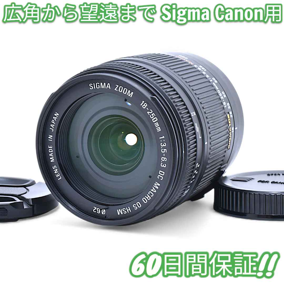 美品 Sigma 18-250mm F3.5-6.3 DC OS Canon
