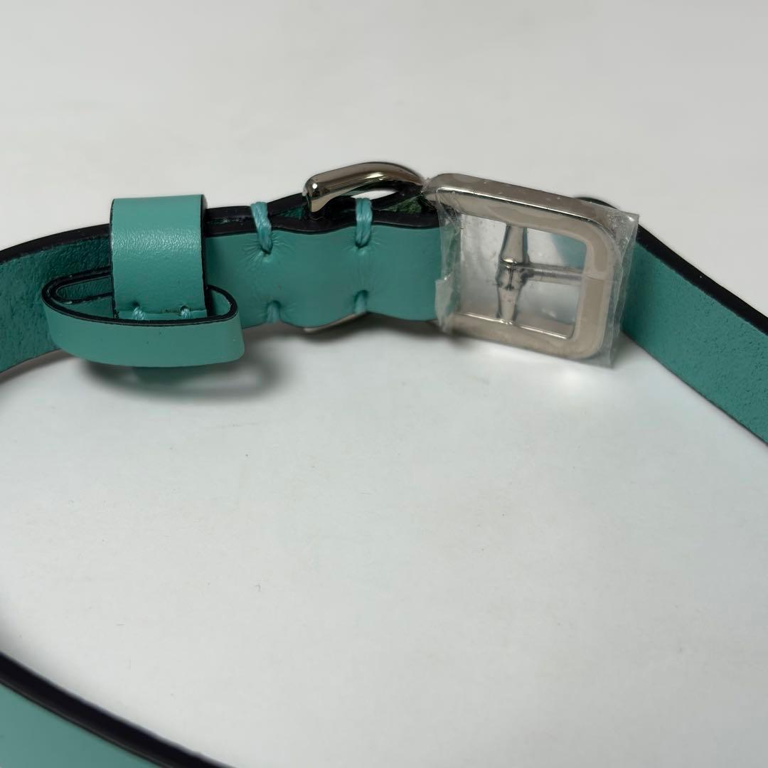 【新品・即完売品】Tiffany&Co. リターントゥ ハーネス 首輪 s