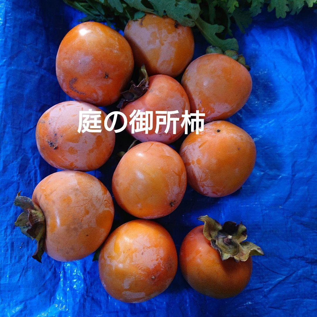 冬野菜、御所柿セット奈良県産