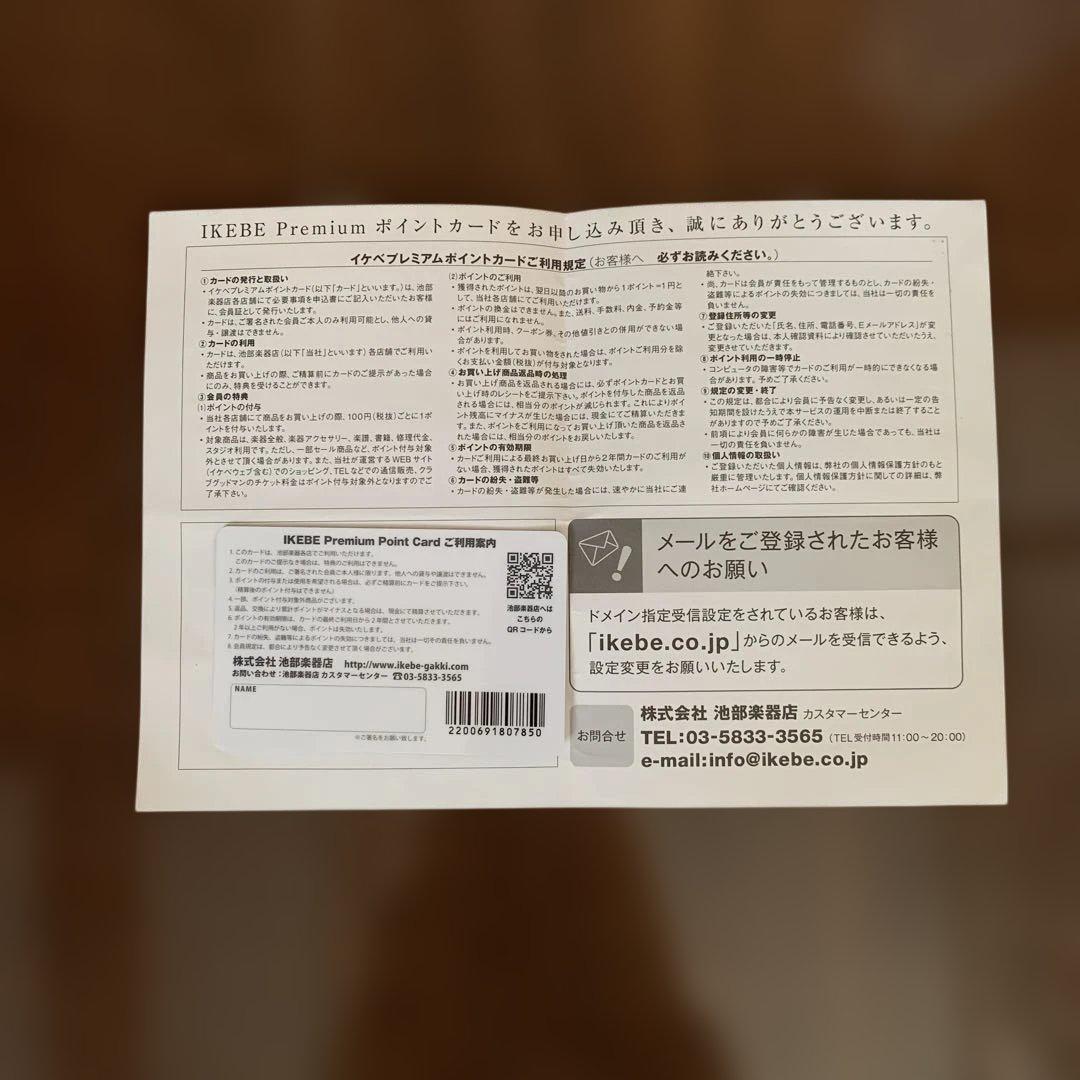 Taylor GS Mini ケース付