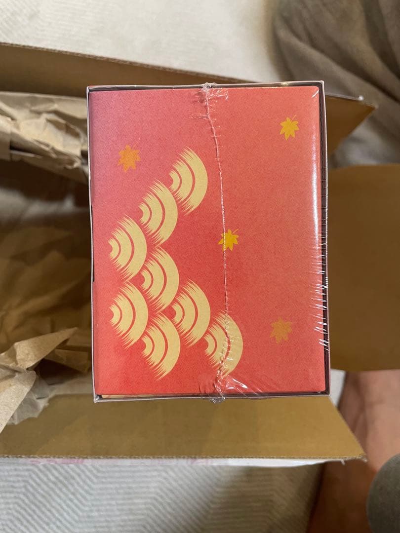 ポケモンセンターヒロシマ スペシャルBOX ポケカ