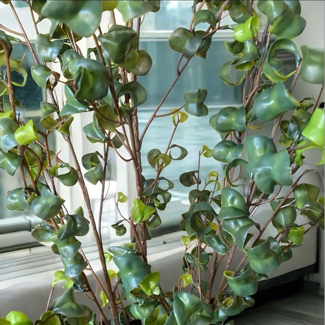 光触媒　人工観葉植物　ウォールグリーン　フェイクグリーン　ベンジャミンバロックy