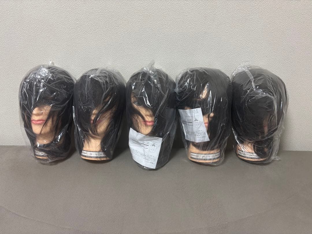 値下げ！美容師技術試験用ウィッグ 5体セット 24-12-24