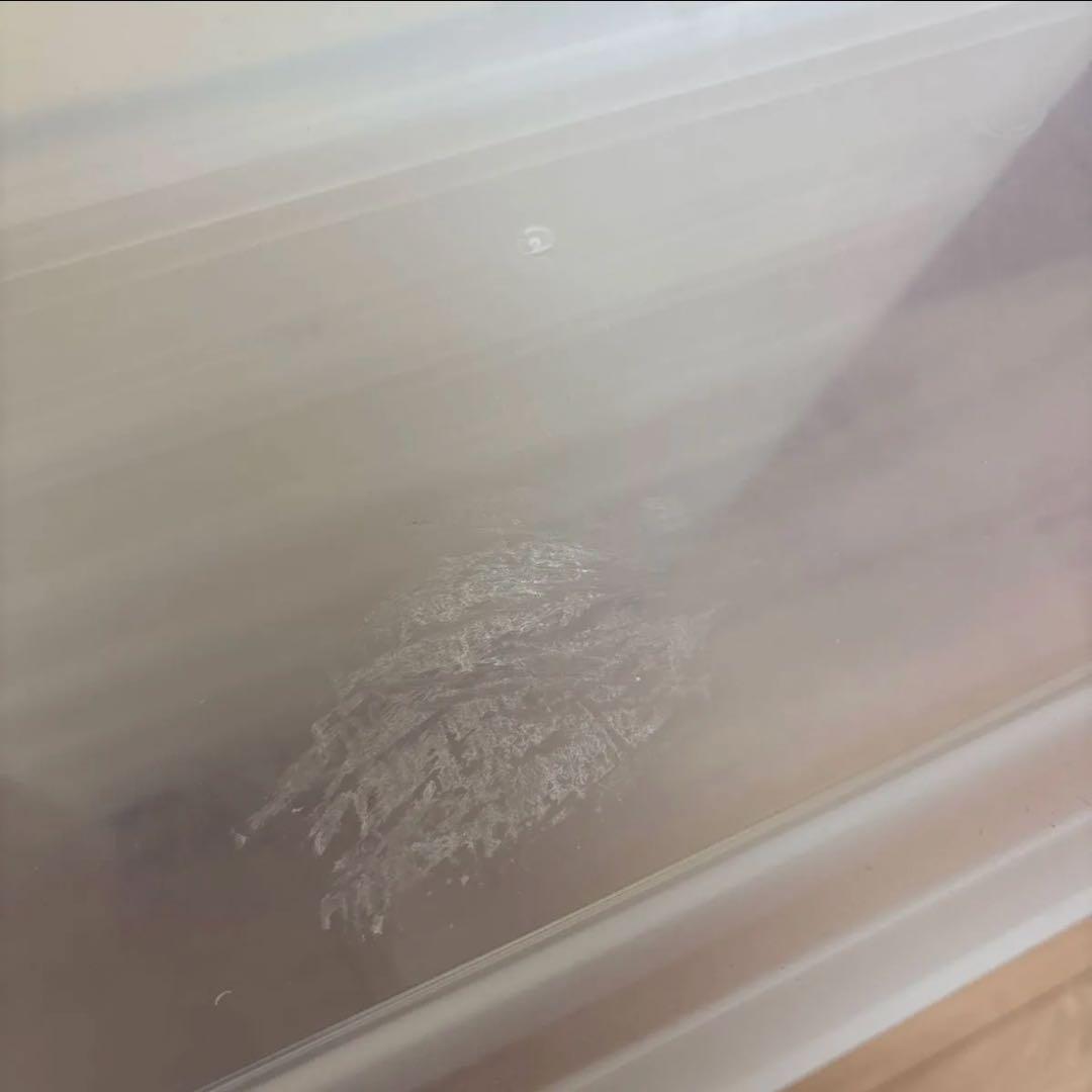 無印良品 ポリプロピレン 小物収納ケース ワイド 小&中 セット