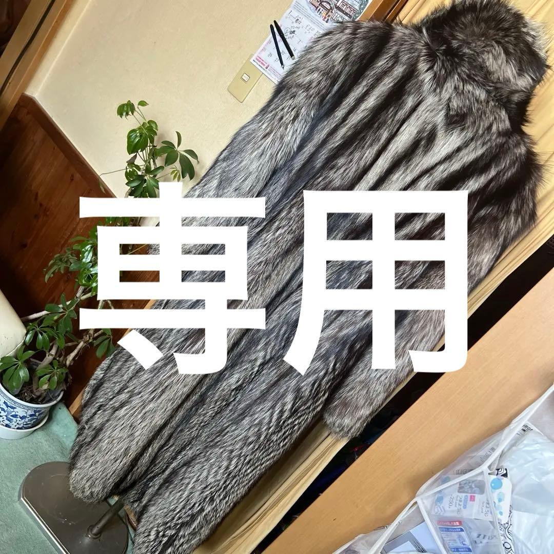 シルバーFOX ＳＡＧＡ