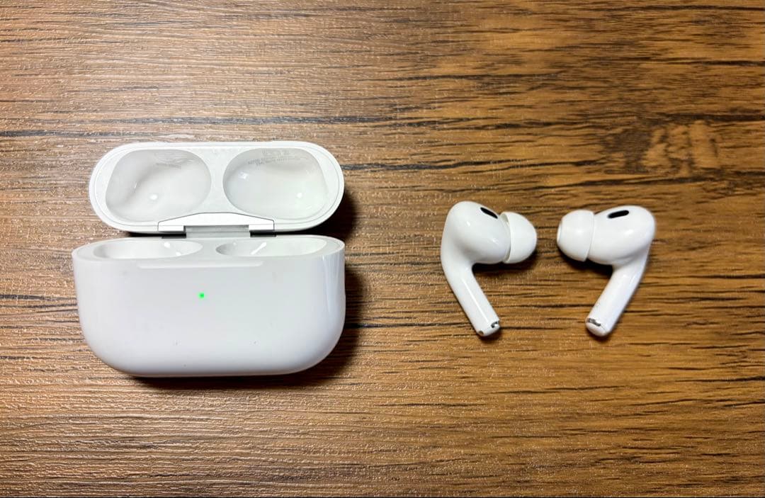【説明欄必読】Apple / AirPods Pro 2 (Lightning)