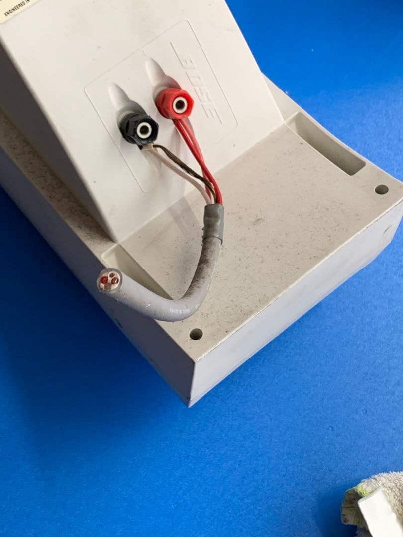 Bose 251 ENVIRONMENTAl SPEAKER 2個