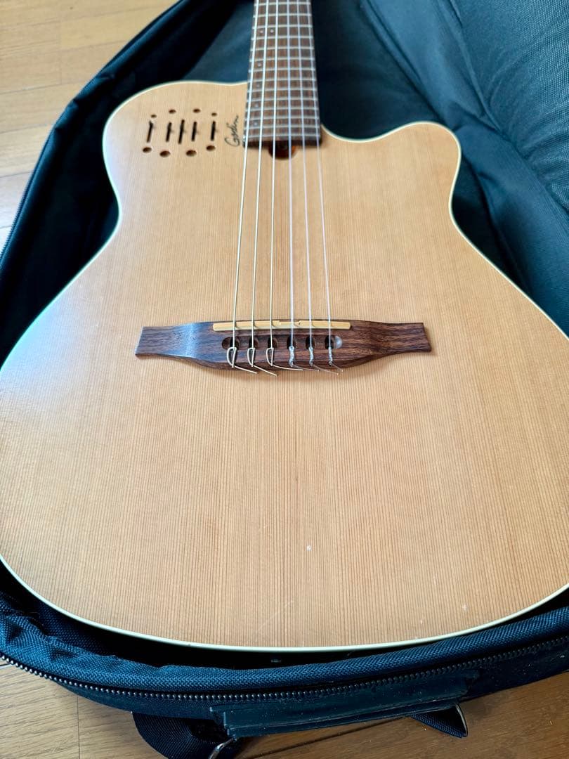 Godin Multiac Nylon Encore ゴダン　エレガット