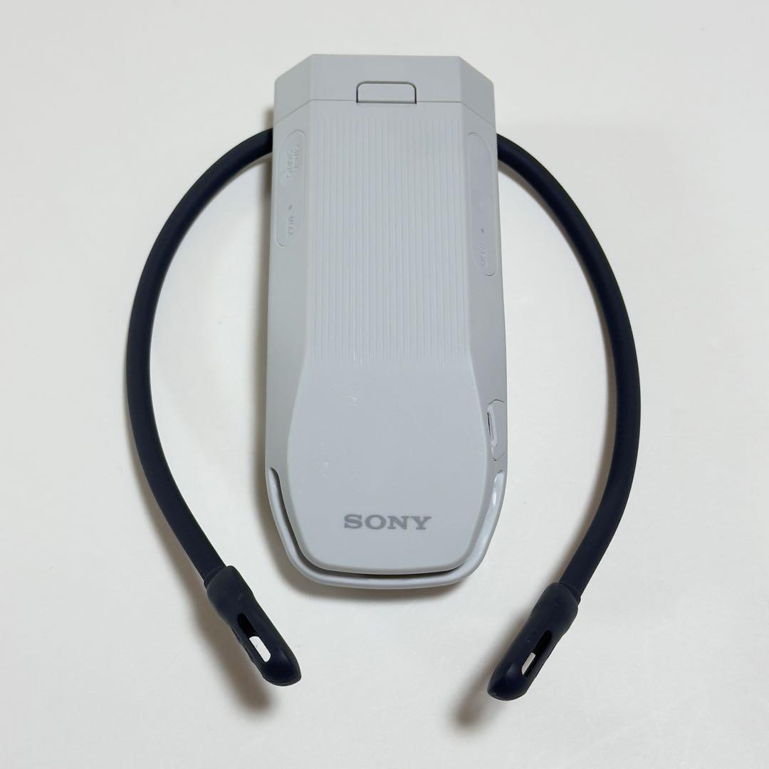 寒い冬にも活躍！ SONY ソニー レオンポケット プロ