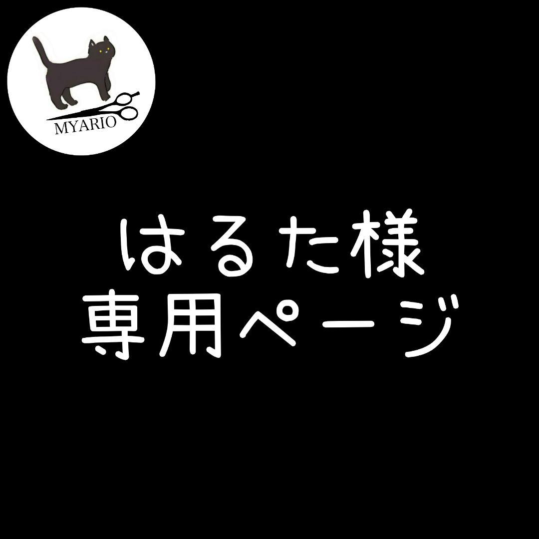 お見積もり専用ページ(#493)