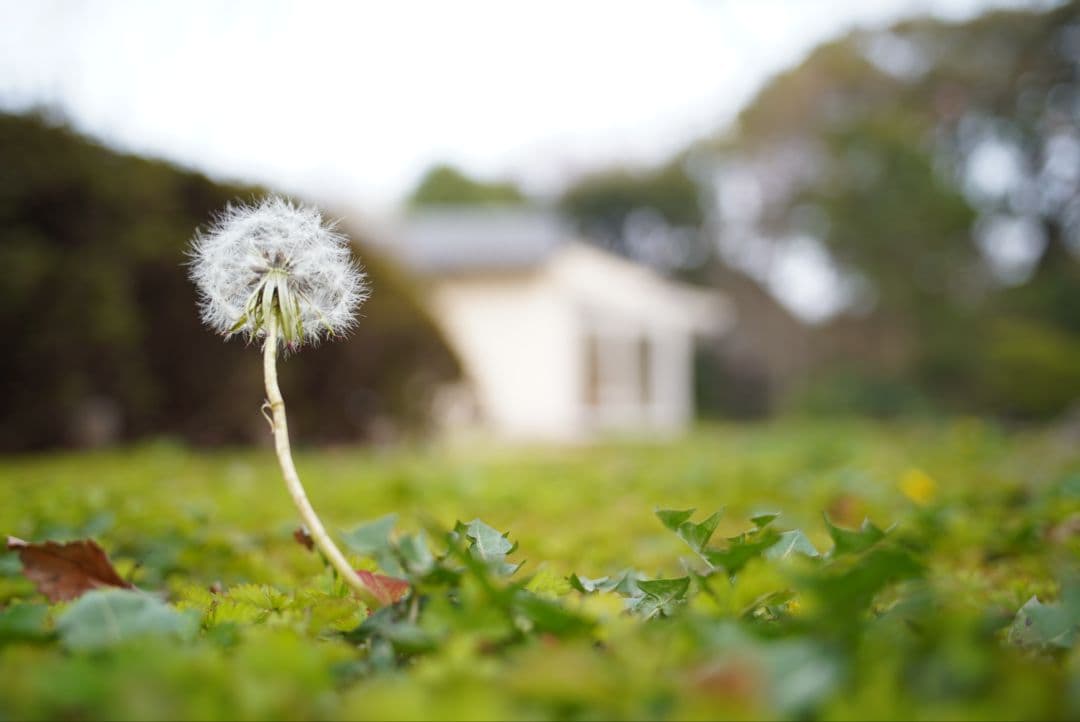 【動作確認済】Nikon Ai-s 28mm f2.8 純正付属品&初期保証付