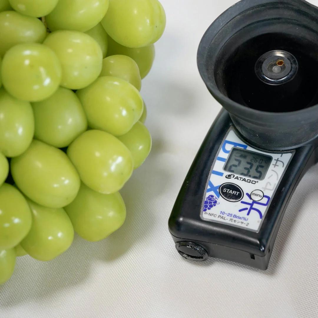 r*n様 【岡山県産】 5kg 甘い高級シャインマスカット! 特大粒.大房 7房