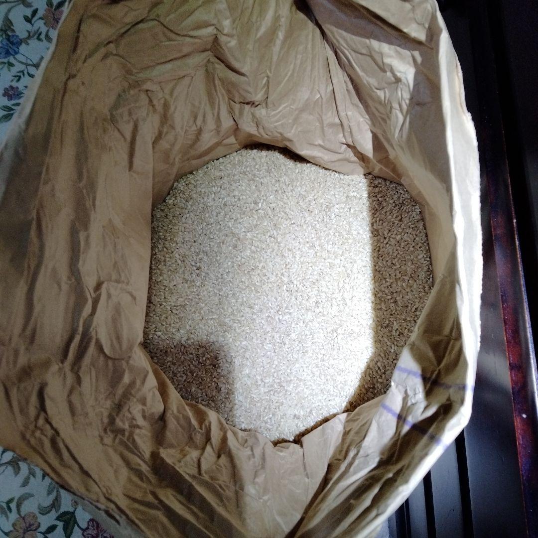 7年産　愛知県日本のデンマーク安城市 農家直送　玄米30キロ送料込み　精米無料