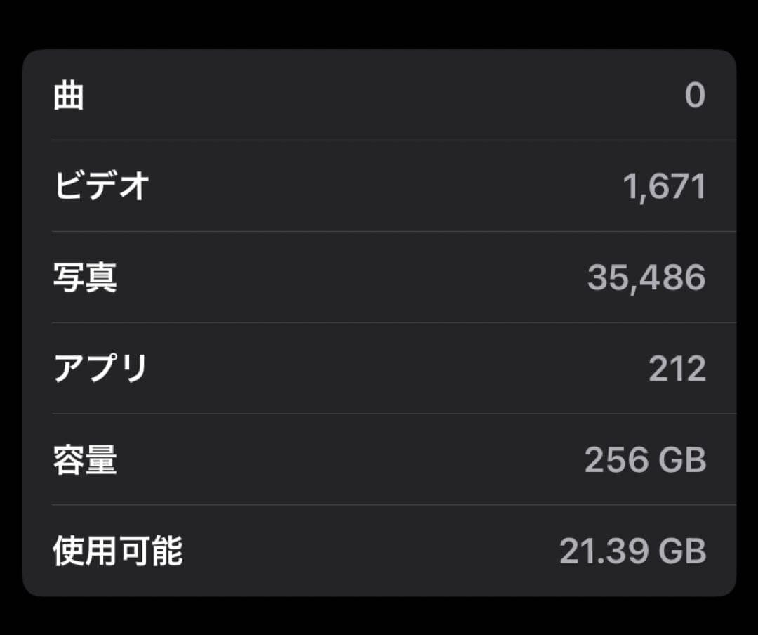 iPad mini 6(第６世代) Wi-Fi 256GB 本体ケース付き