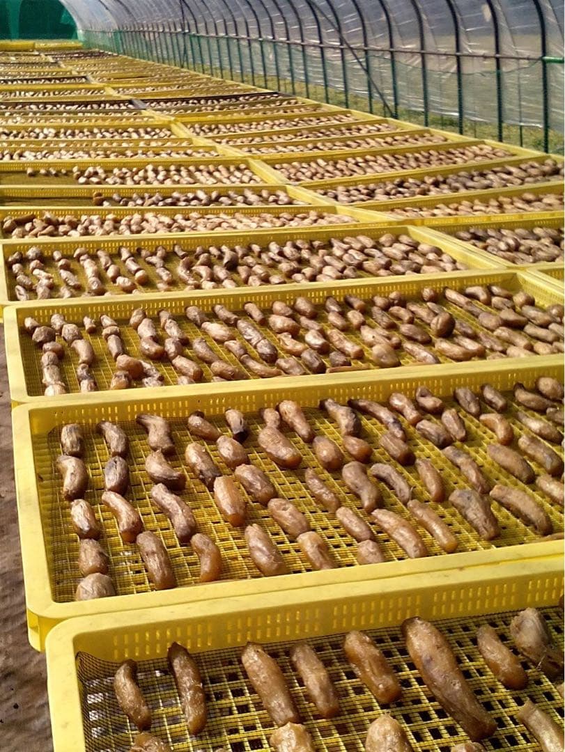 Rusty 木小屋の干し芋　紅はるか　熟成丸干し無選別4k 完全天日干し