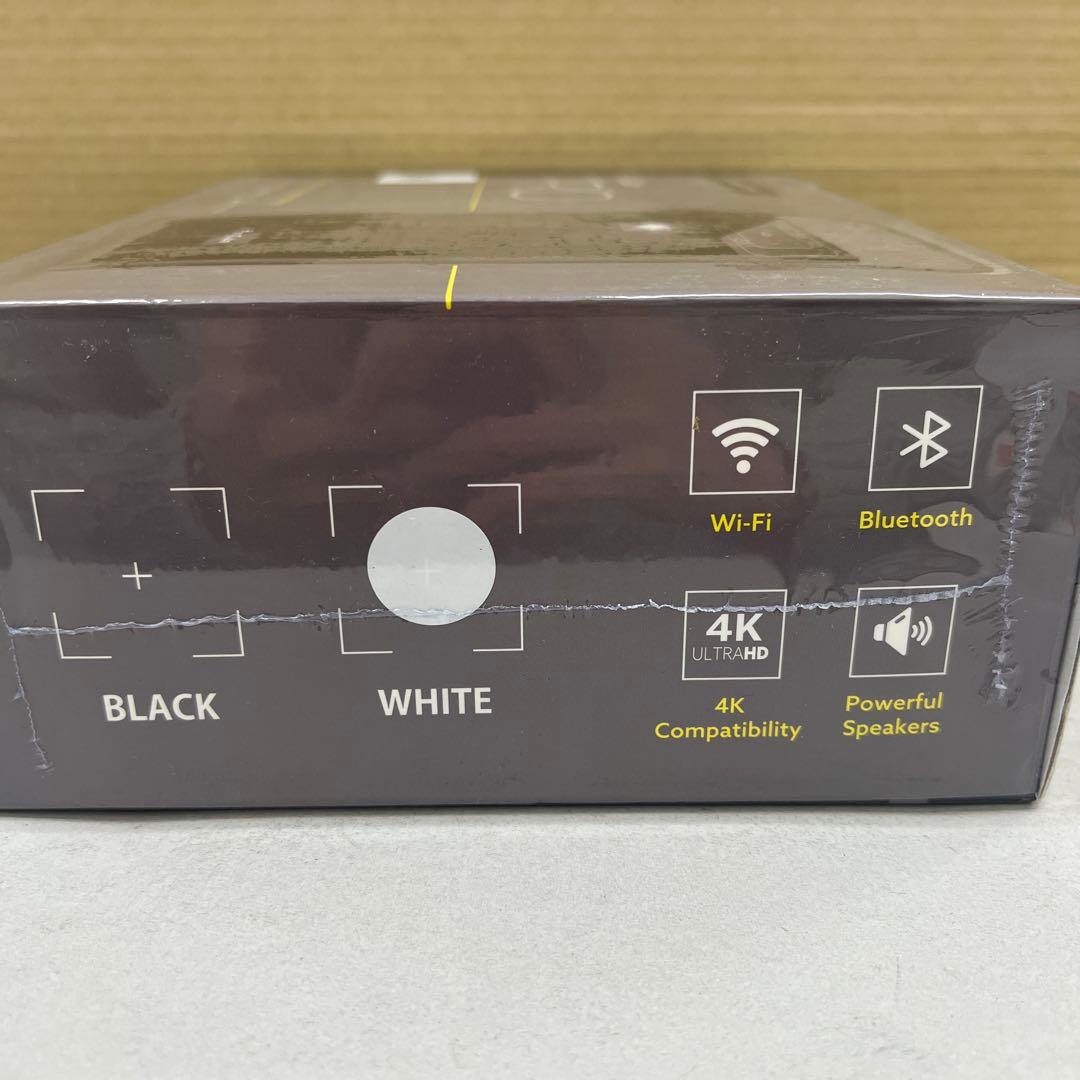 511283 Felicross 小型プロジェクター PicoCube Pro