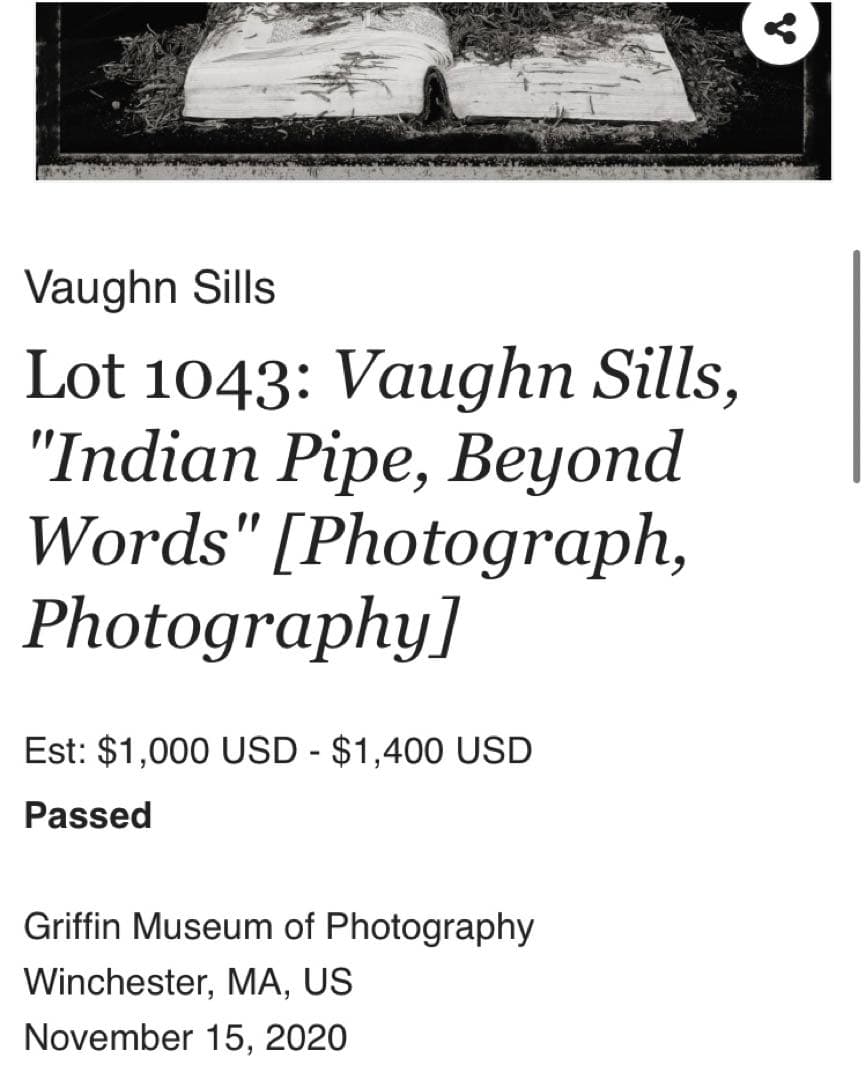 Vaughn Sills 「Beyond Words」アートフォト　写真