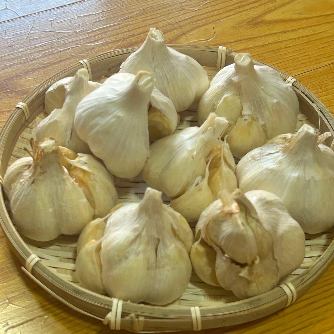 【Lサイズセール】青森県 福地ホワイト にんにく L 20kg 加工 家庭用