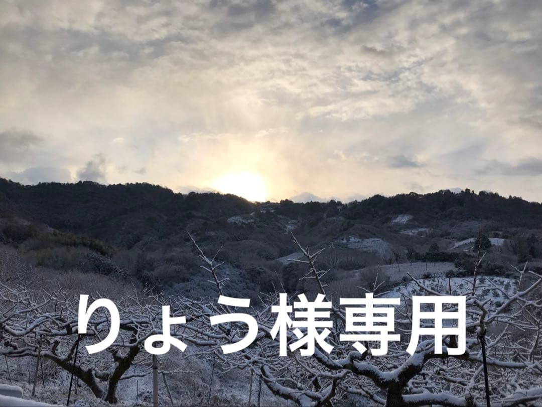りょう　和田果樹園の果物10kg