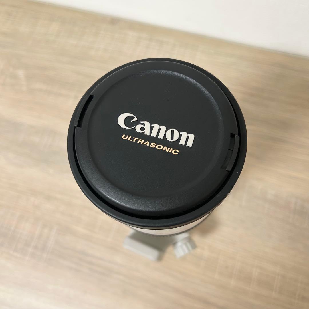 Canon キャノン LENS EF 300mm 1:4 L 望遠レンズ