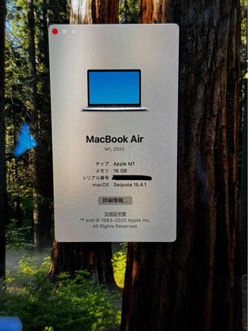 Apple MacBook Air M1 2020 13.3インチ　US