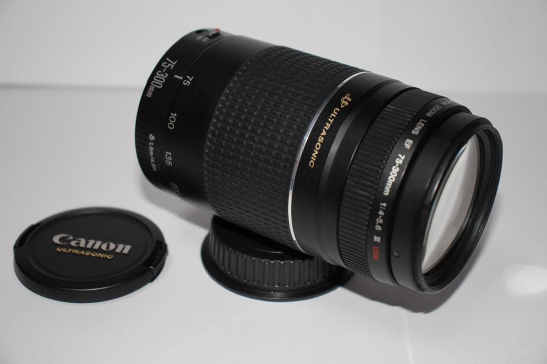 ☆超望遠レンズ☆一眼レフカメラ☆Canon EF75-300㎜I USM ☆