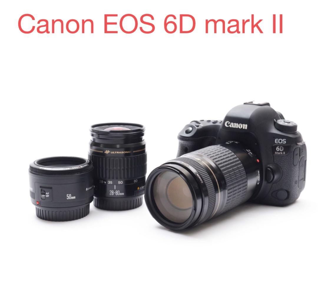デジタル一眼レフCanon EOS 6D Mark II 標準&望遠レンズセット