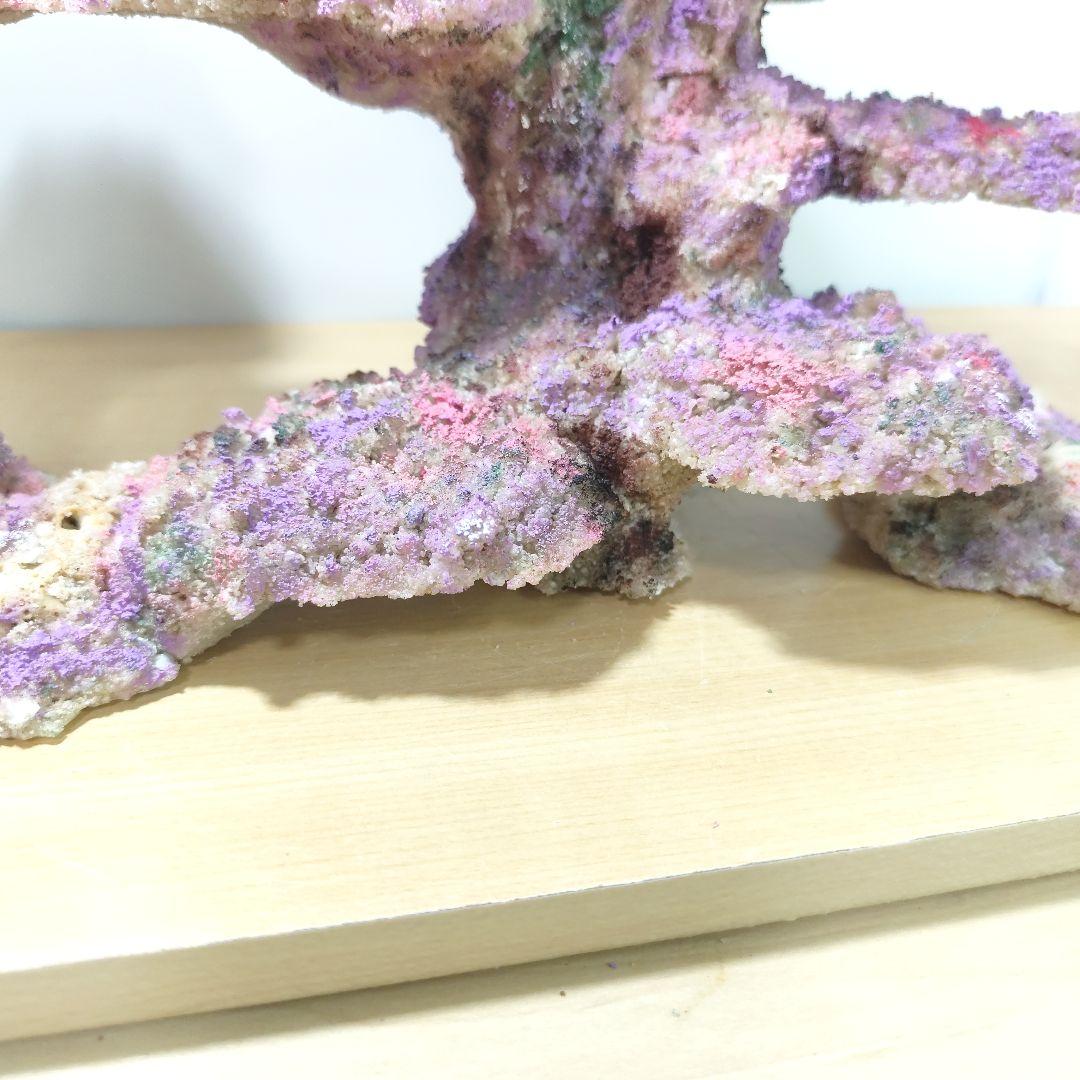 ❖新品アク抜き不要 人工ライブロック 60cm海水水槽用 レプリカ 多孔質安い1