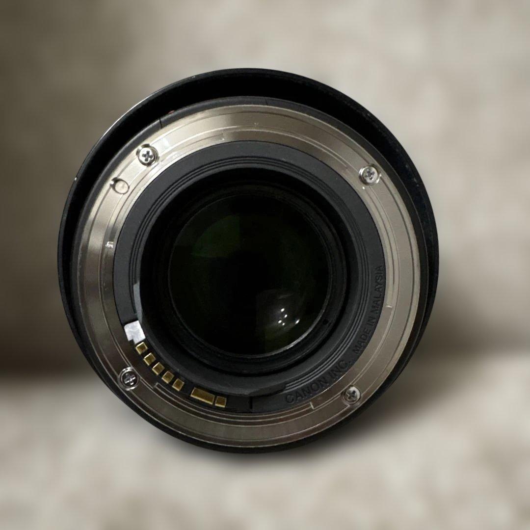 Canon EF 50mm f/1.4 USM単焦点レンズ