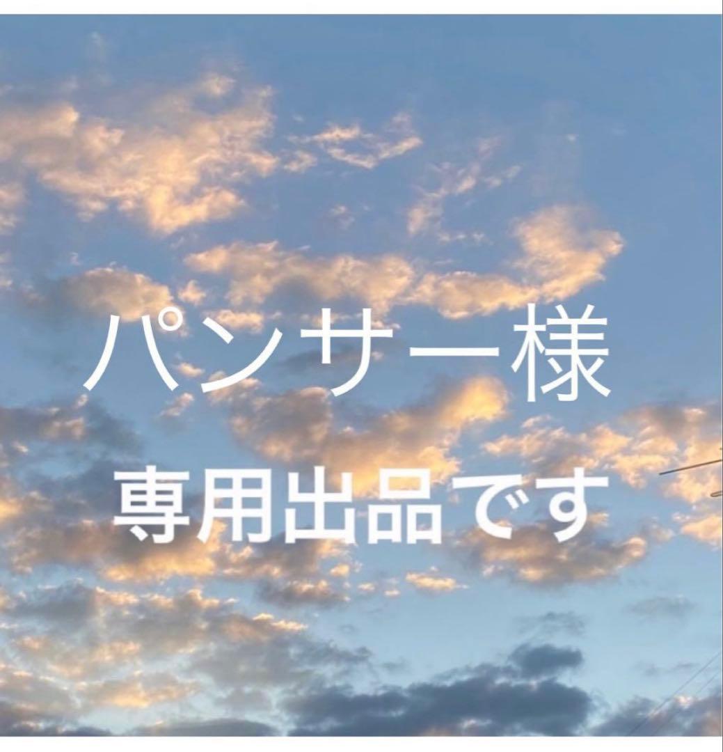 パンサー！ Discoat など5点