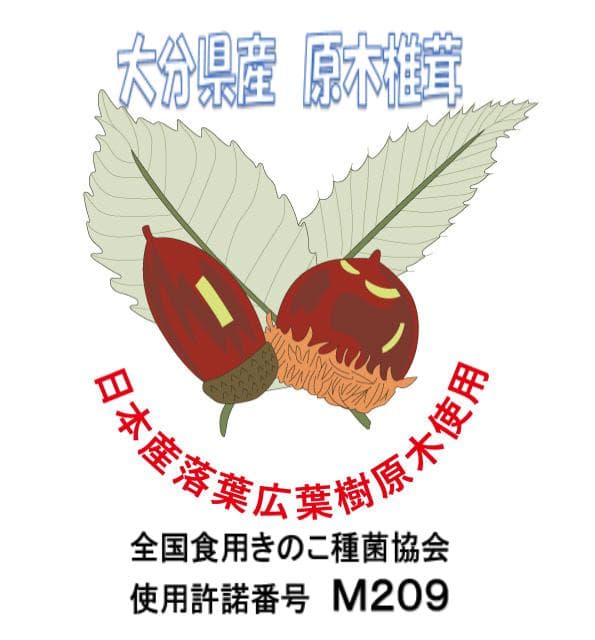 ぼたん夫人さまご予約専用 大分県特産 生どんこ椎茸「秋子」