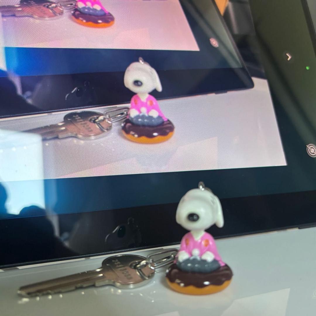 【美品】RICOH Portable Monitor 150 専用ソフトケース付