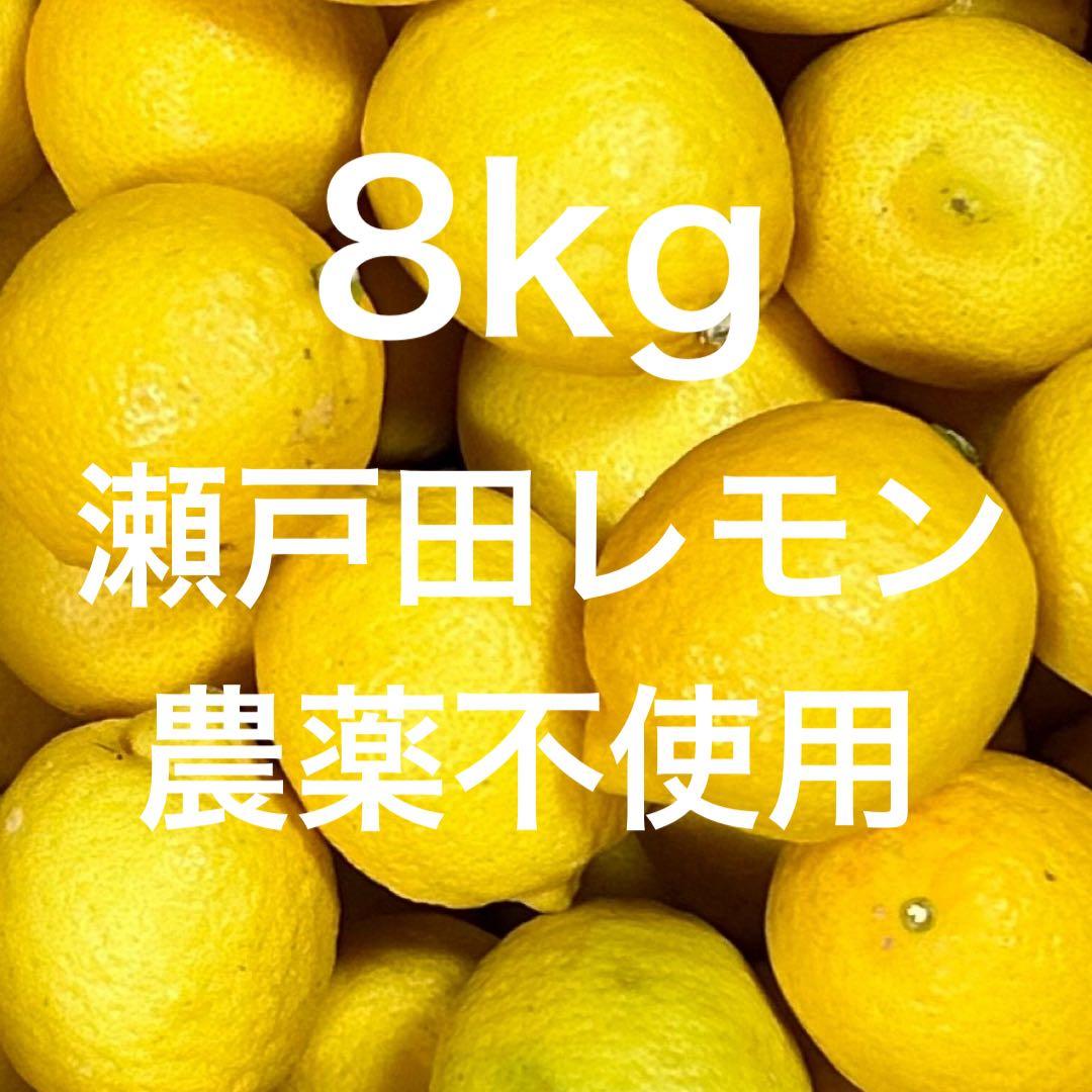 国産　瀬戸田レモン農薬不使用　　h