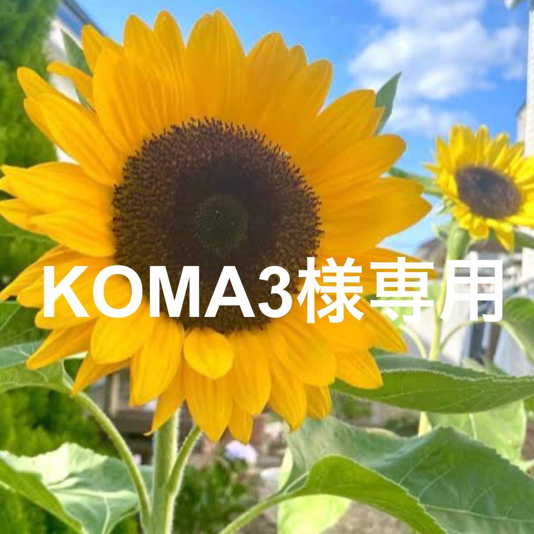 その他 KOMA3