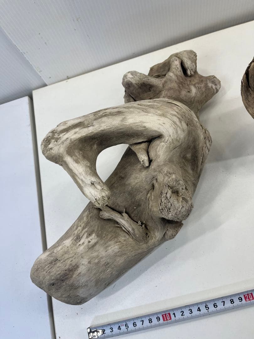 R70アク抜き済み流木 爬虫類シェルター レイアウト用 インテリア エアプランツ