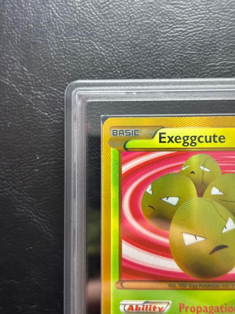 【ARS8】タマタマ 英語 102/101 UR ぞうしょく