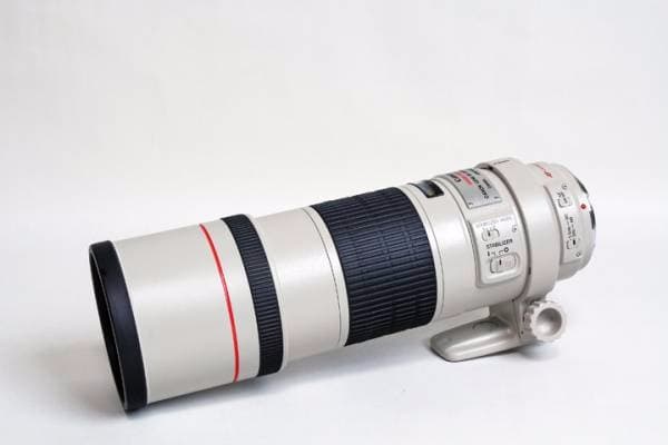手振れ・望遠 EF 300mm F4 L IS USM