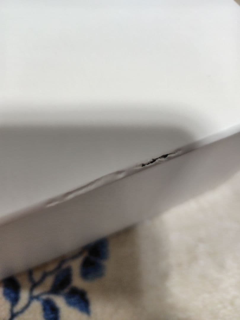 Panasonic BRIGHTSHOT 美顔器　フォトブライトショット