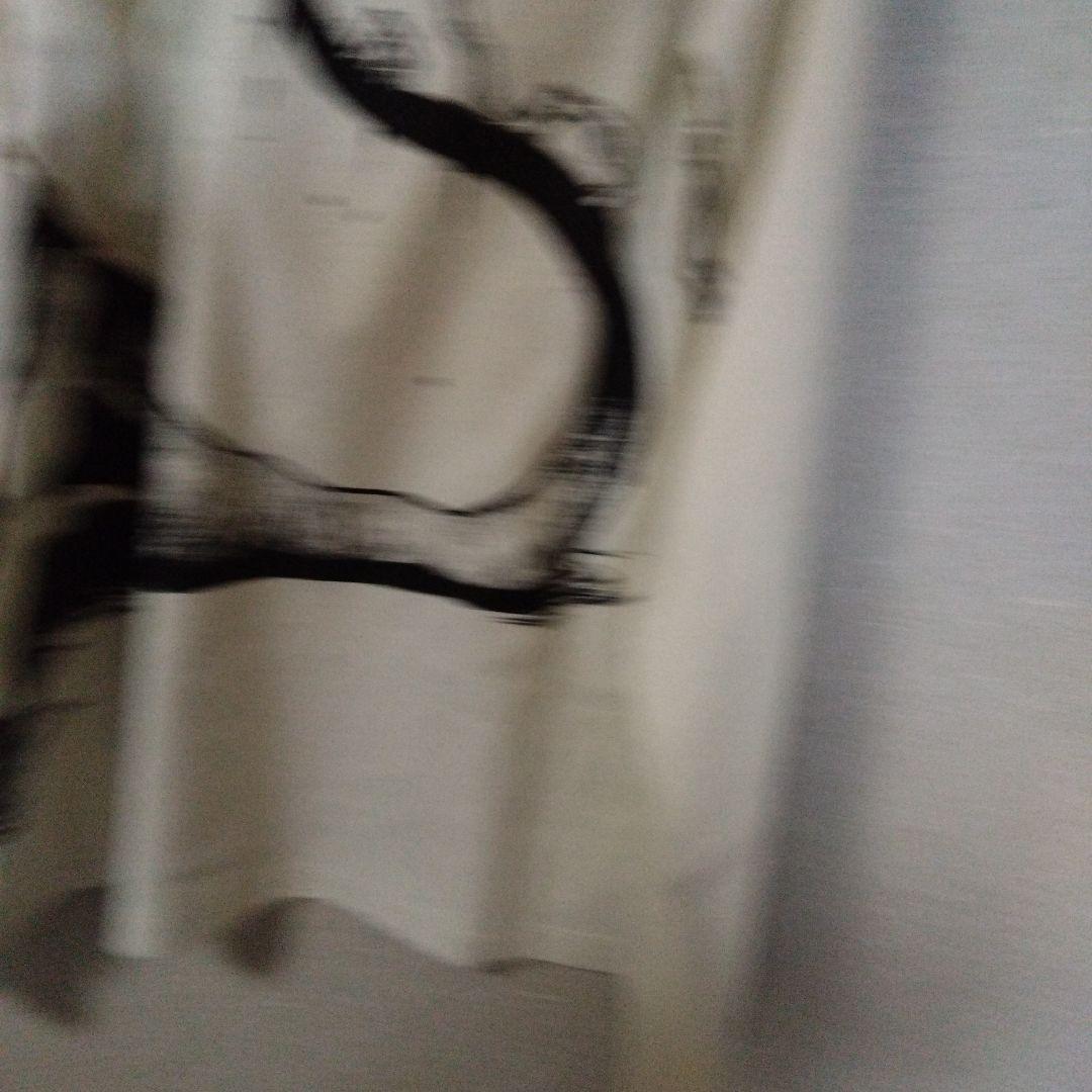 A*P様 グラニフ　鋼の錬金術師 ロングtシャツ 未使用